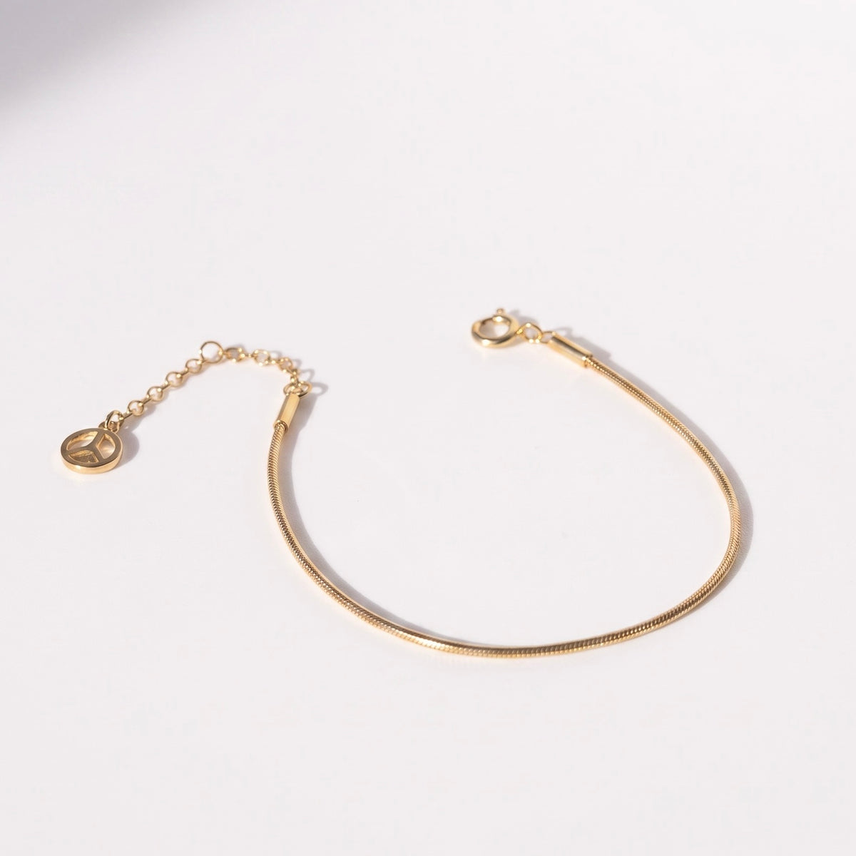 Snake Chain Bracelet