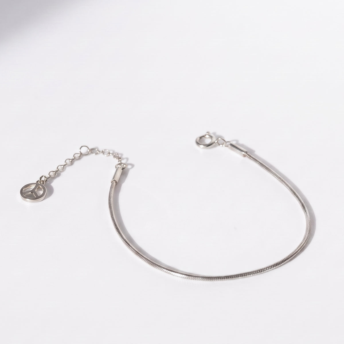 Snake Chain Bracelet