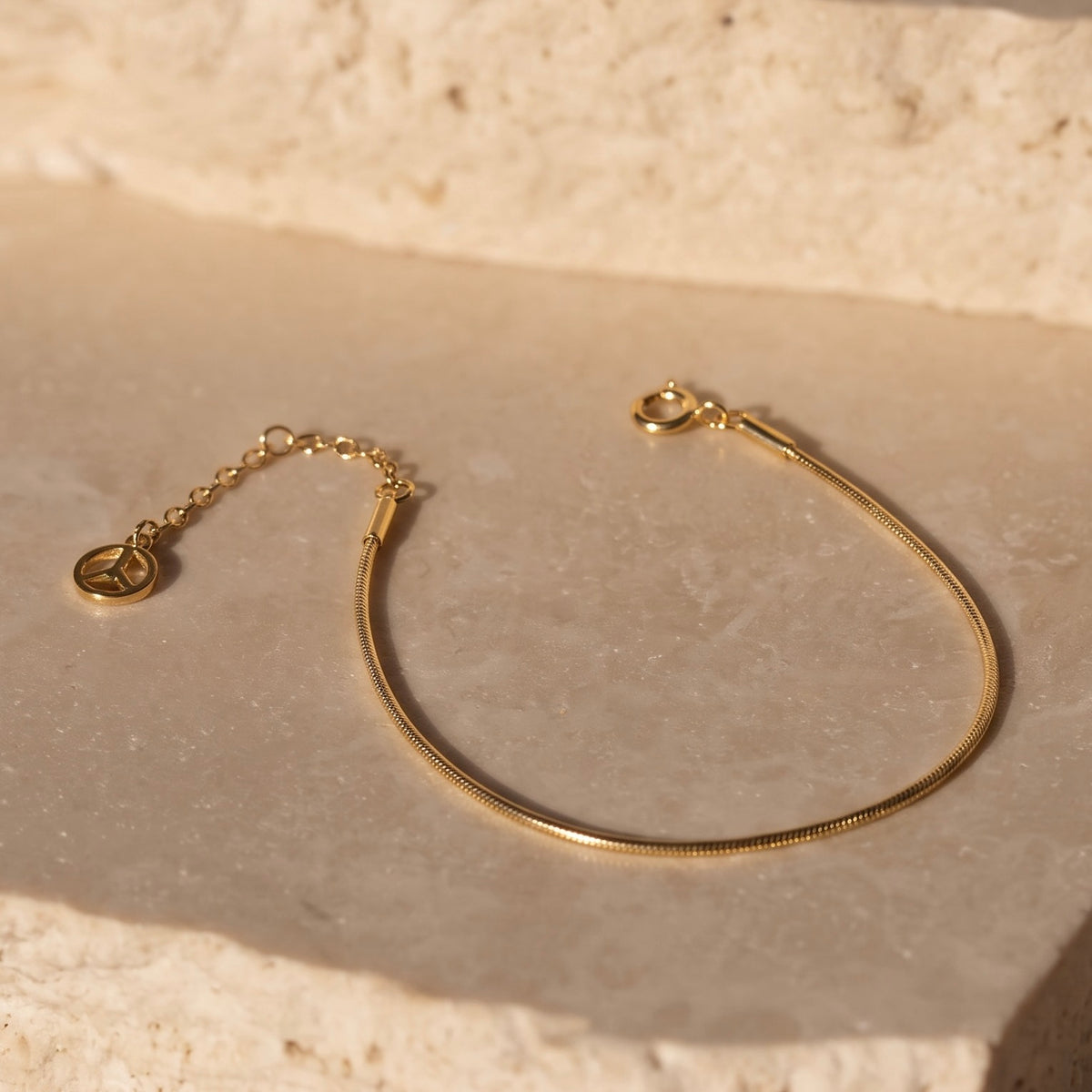 Snake Chain Bracelet